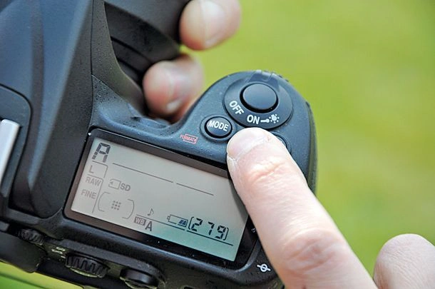 Camera Settings for Wildlife Photography