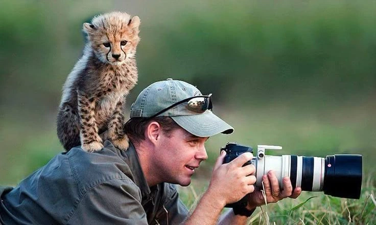 Best Camera for Wildlife Photography