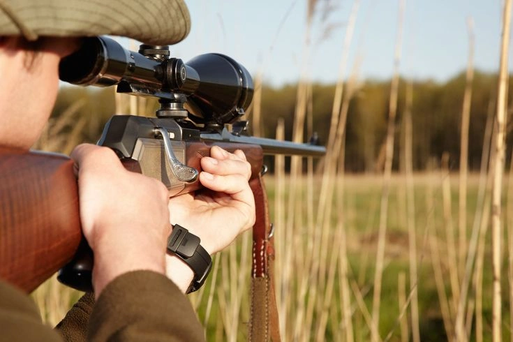 What Are Sustainable Hunting Quotas?
