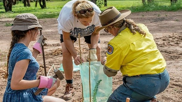 Understanding Biodiversity Under the Act