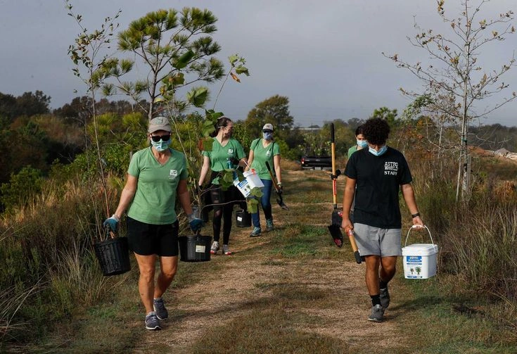 A New Direction for Local Conservation