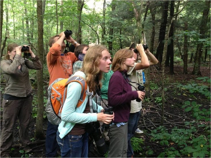 Key Roles of Municipal Wildlife Committees