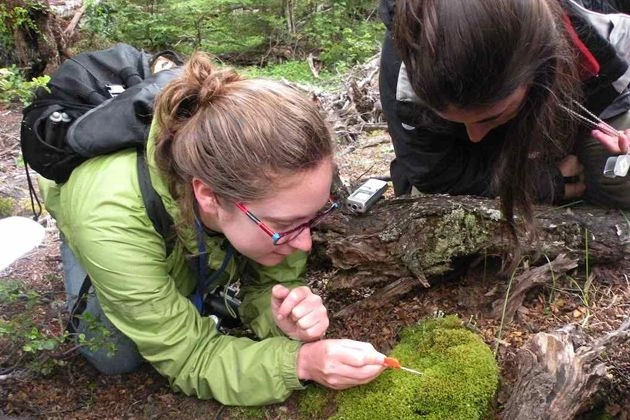 Why Wildlife Management Matters in Norway