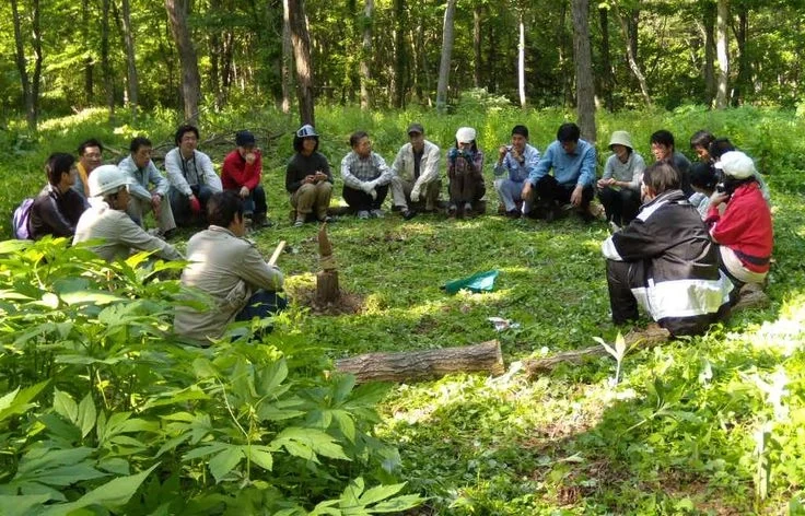 Where Committees Can Make a Difference