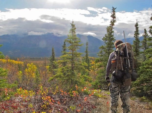 Hunting Seasons and Species