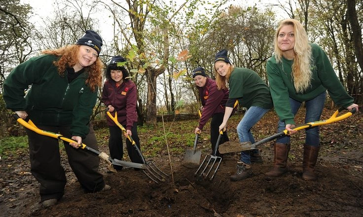 Grassroots Conservation and Community Participation