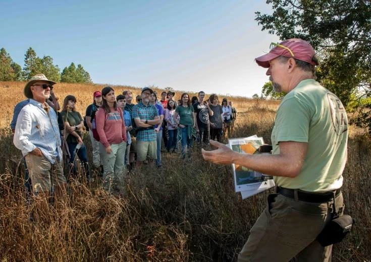 Protecting Livestock from Predators