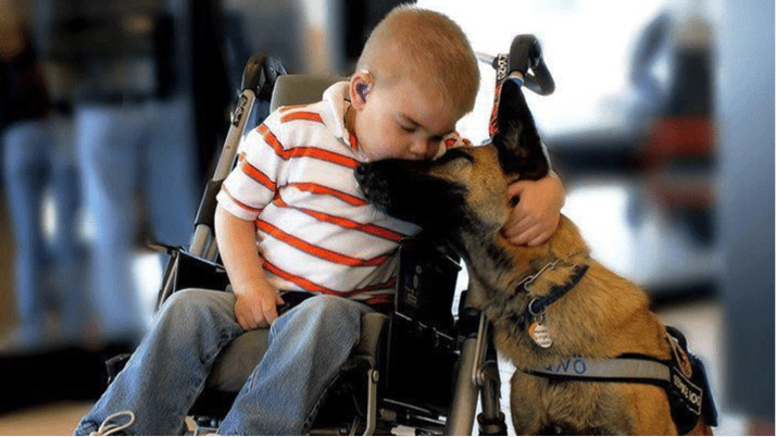 7. Animals That Commonly Need Assistance