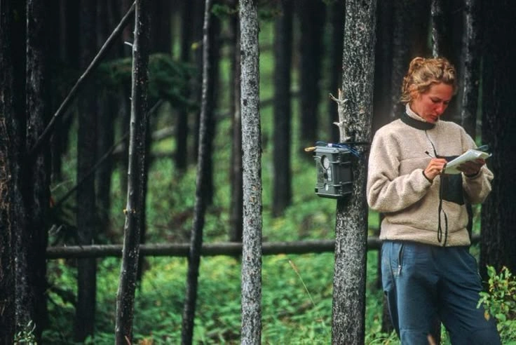 Why Ecosystem Preservation Is Changing in 2026