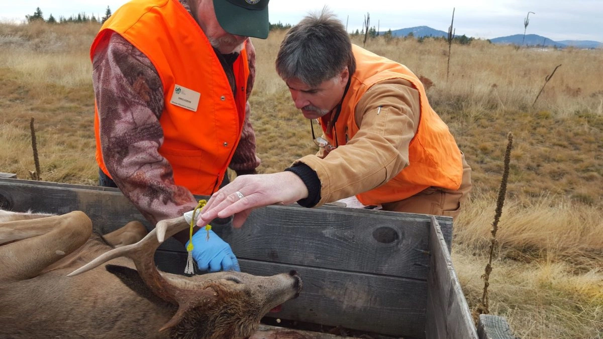CWD Sampling Hunters