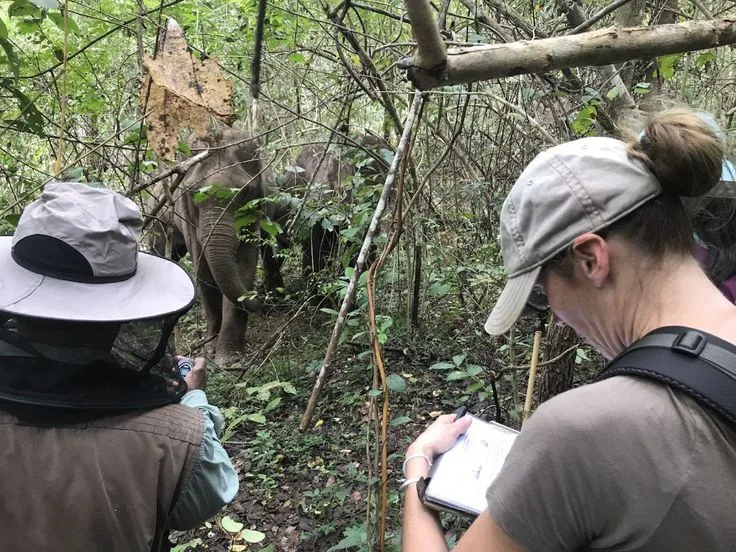What Does a Wildlife Board Actually Do?