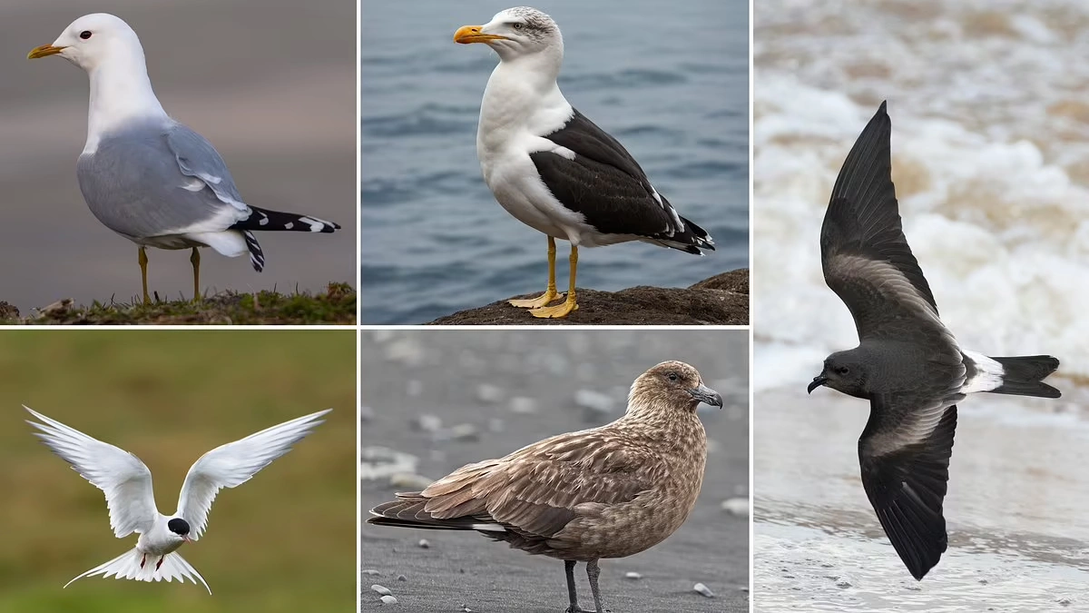 norwegian red list species