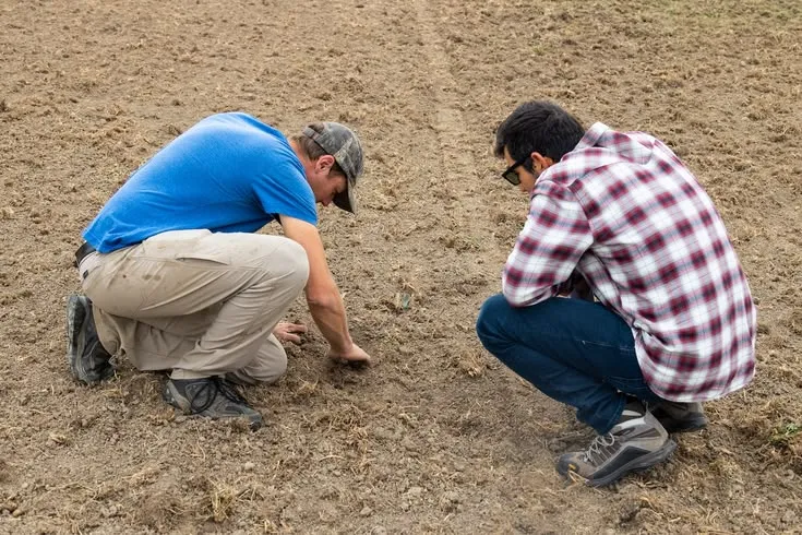 What do harvest statistics tell us?