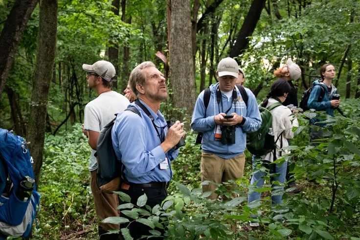 What does national park wildlife management mean?