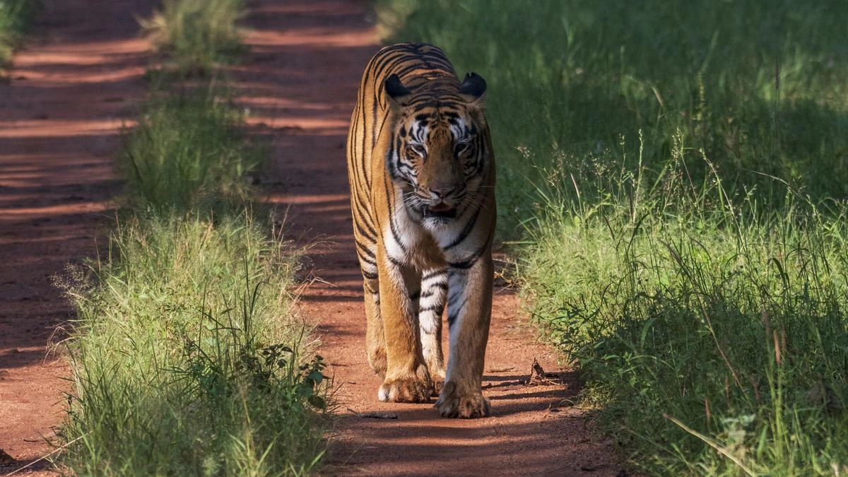 appeal wildlife board decision