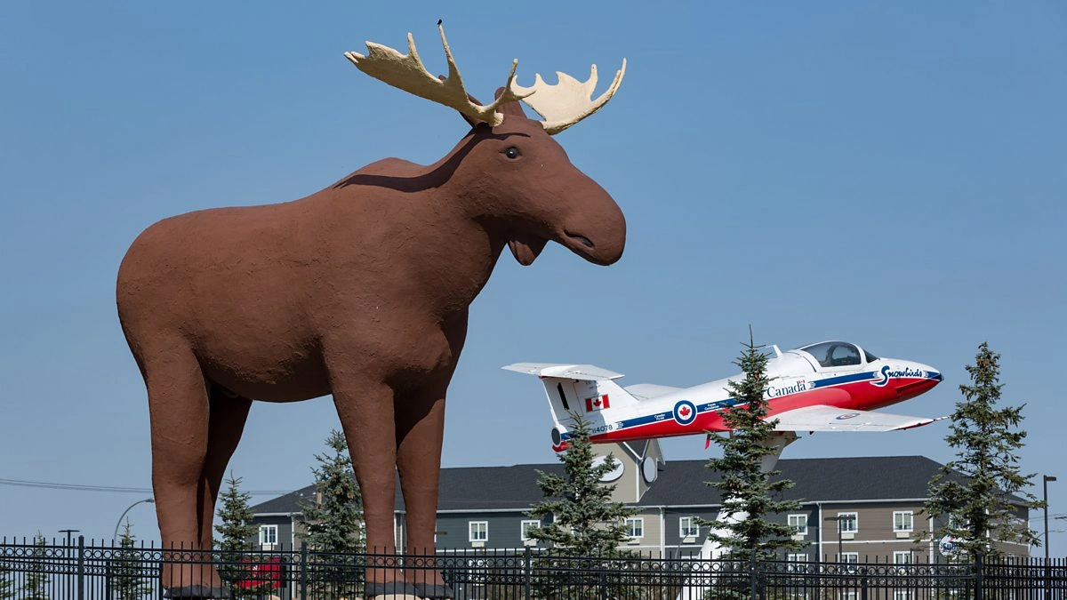 norway moose population 