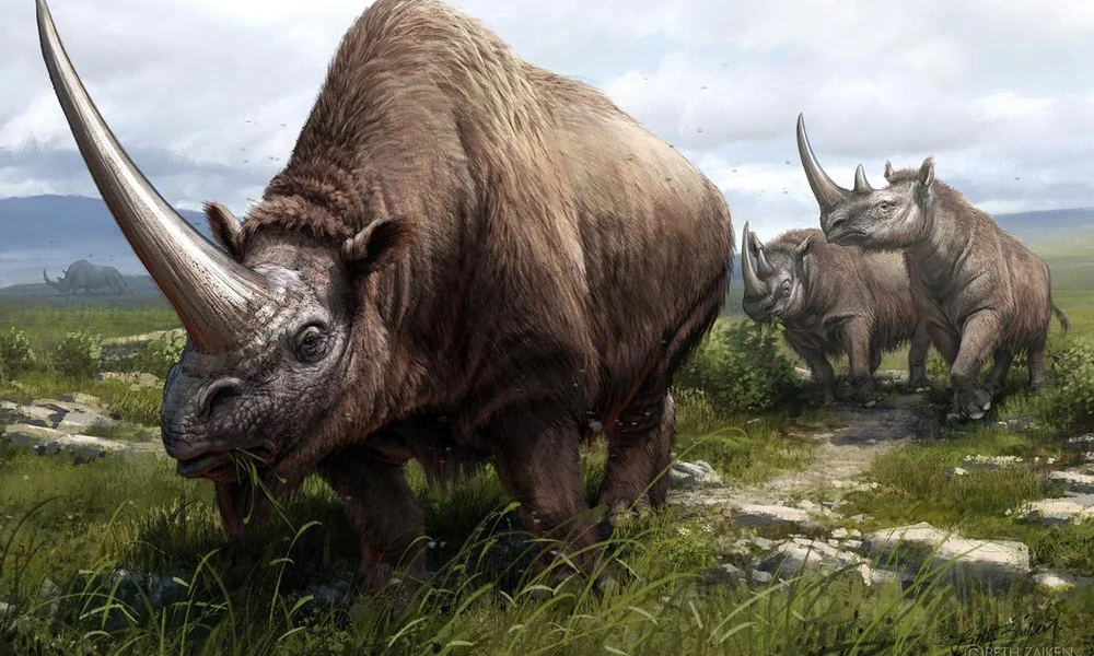 Elasmotherium with its enormous horn walking across prehistoric Eurasian grassland.