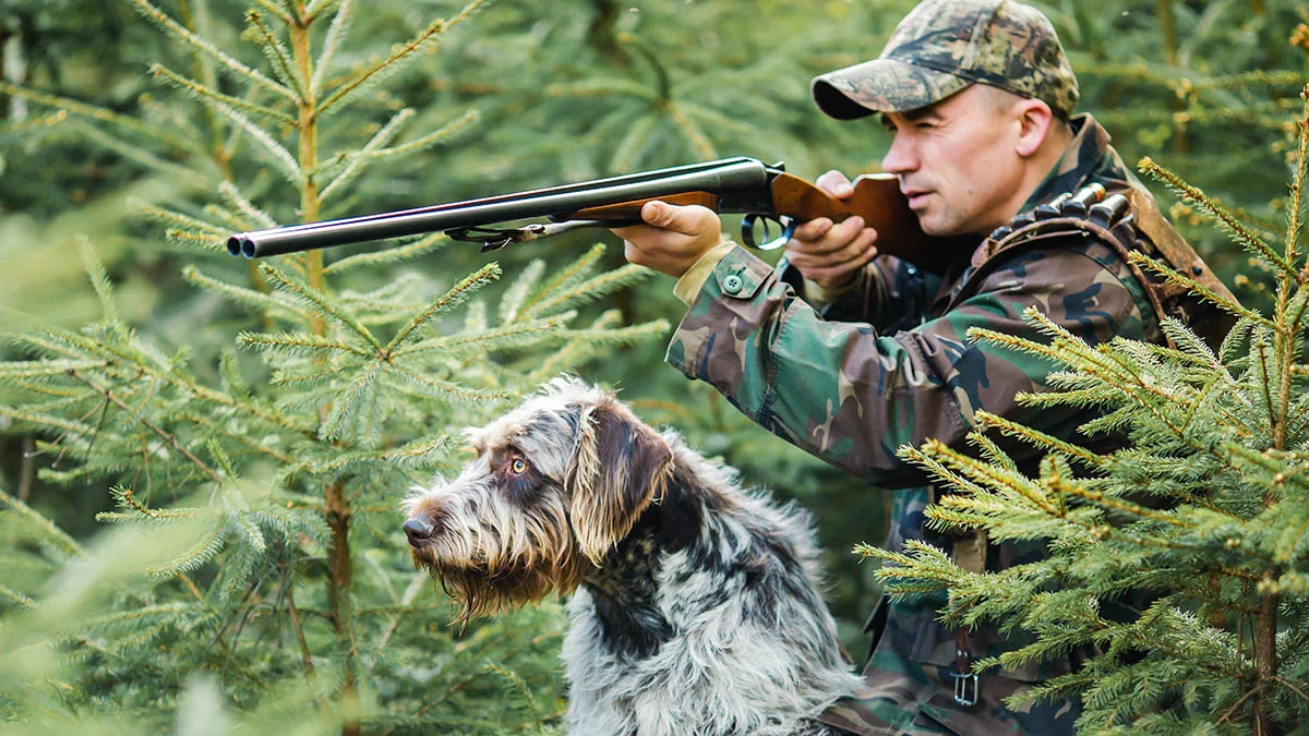 What a Visiting Hunter Has to Arrange?