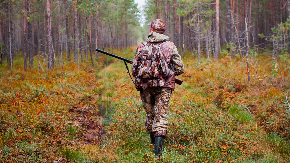 leasing hunting land norway