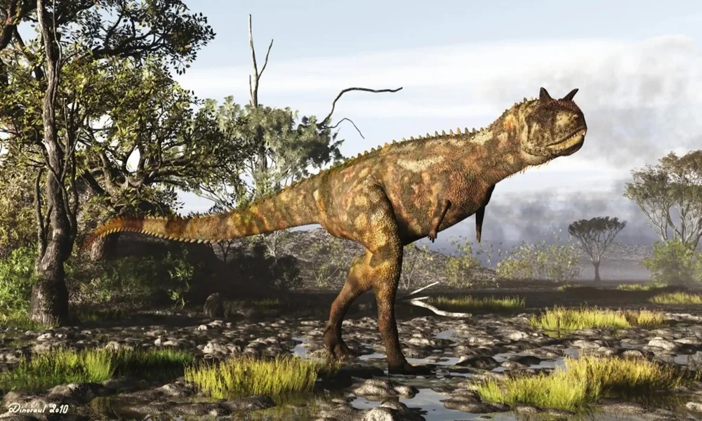 Carnotaurus with two horns above its eyes walking through a prehistoric South American landscape.
