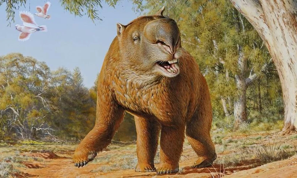 Diprotodon browsing vegetation in prehistoric Australia.