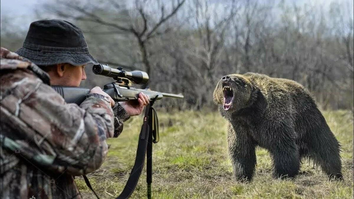 Frequently Asked Questions Who owns the hunting rights on a piece of land in Norway? Under Section 27 of the Wildlife Act, hunting rights belong exclusively to the property owner (grunneier). State certification grants personal eligibility, but you must secure explicit permission from the landowner to access any parcel. Can you hunt anywhere with a Norwegian hunting licence? No, state licenses and tests only certify your personal legal competence to hunt in Norway. They grant zero spatial access, meaning you still need a lease, permit, or direct landowner permission for specific ground. How do small properties handle big game hunting quotas? Properties that fall below the municipal minimum acreage threshold (minstareal) cannot harvest big game independently. Neighboring landowners must pool their properties into a joint management unit (vald) to receive a shared animal quota. What happens if a wounded animal crosses onto neighbouring land? Under Section 34 of the Wildlife Act, you cannot cross the boundary armed to pursue a wounded animal. You must stop at the border immediately and notify the neighboring landowner or local municipal wildlife team for authorization.