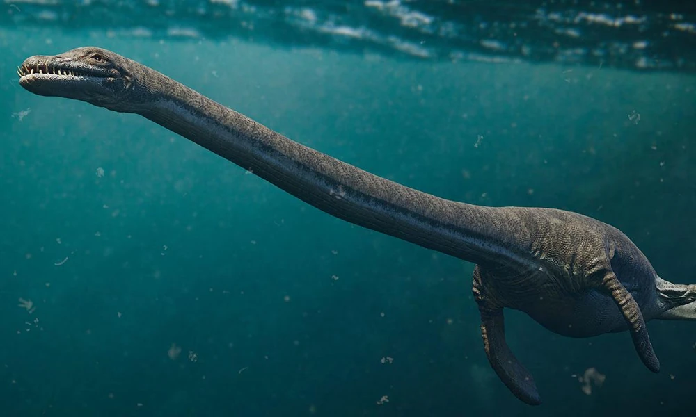Elasmosaurus marine reptile swimming in a prehistoric inland sea.