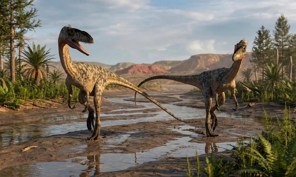 Slender Coelophysis dinosaurs moving across a prehistoric floodplain in North America.