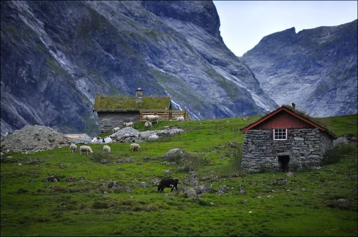 What Are Selected Habitat Types in Norway?