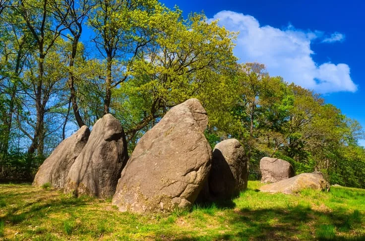 How does landscape protection work in practice?