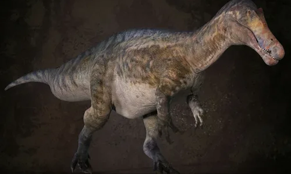 Digital model of a Baryonyx dinosaur with a long snout and pale underbelly, standing against a dark background.