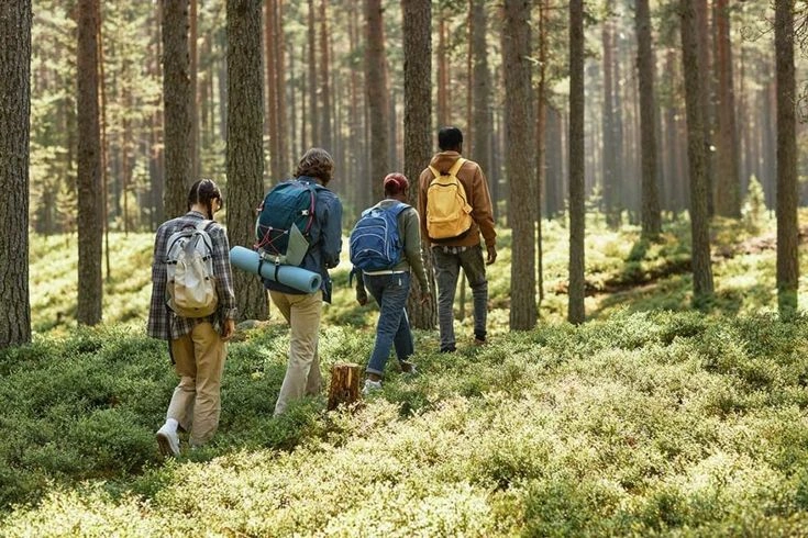 Understanding the Nature Diversity Act: A Guide for Conservationists