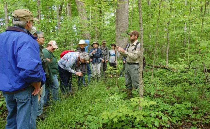The Crucial Role of Local Municipal Wildlife Committees in Ecosystem Protection