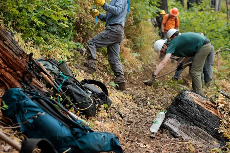 How Norway's Wildlife Management System Balances Conservation and Hunting