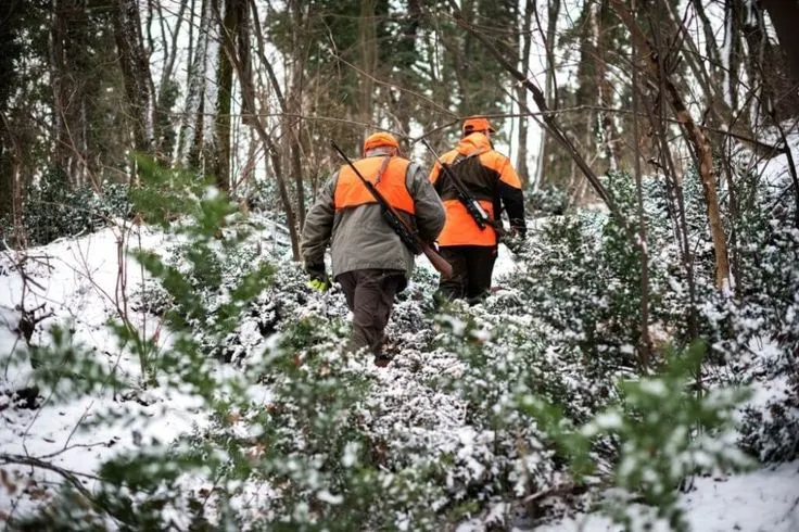 Jegerprovan Hunter Exam: Passing Norway’s Hunter Examination