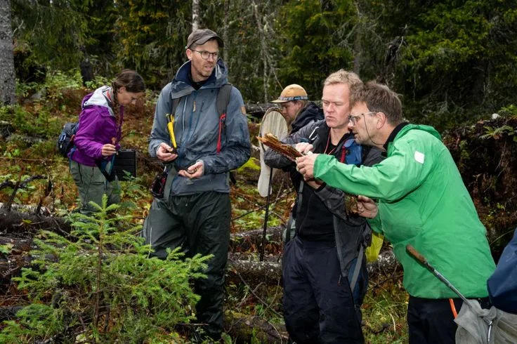 Wildlife Board Members Norway: Who Sits on a Viltnemnd and How Are They Appointed?