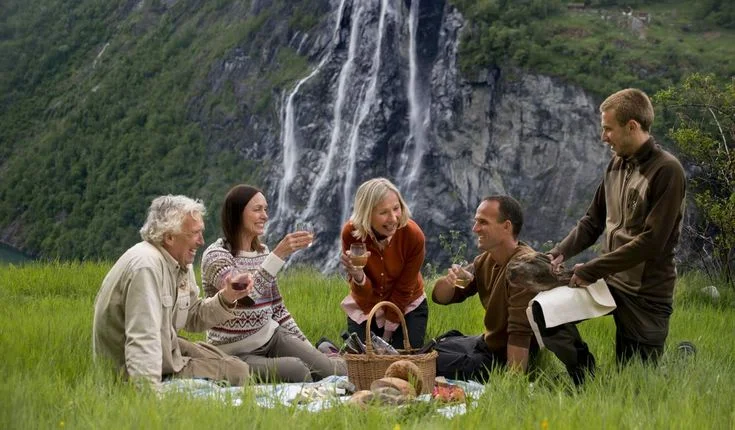 How Norway’s Eight Rovvilt Regions Are Drawn