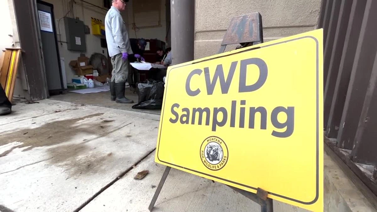 CWD Sampling Hunters